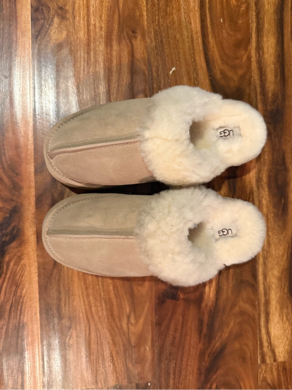 UGG Slip-On Slippers in Color Sand